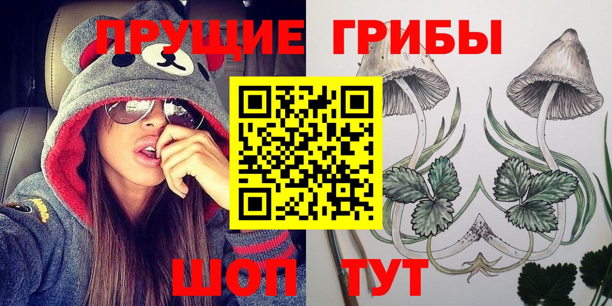 Псилоцибиновые грибы Psilocybine cubensis Минусинск